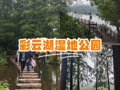 -重庆彩云湖湿地公园