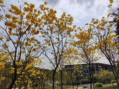 -中国移动南方基地