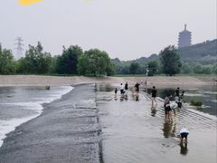 -永定河休闲森林公园