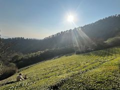 -敬亭山风景名胜区