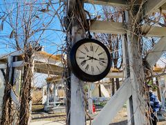 -安德鲁户外烧烤帐篷营地(马泉营店)