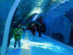 -波塞冬海底世界