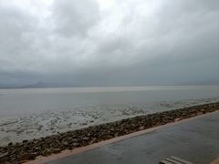 -深圳湾公园(南山区)