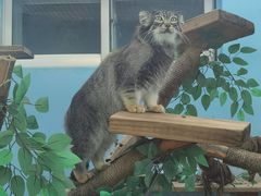 -青藏高原野生动物园
