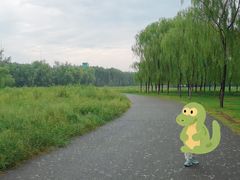 -东郊湿地公园