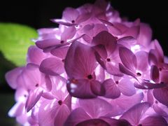 -常州古运河南大街文化旅游区-人民公园