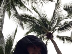 -万绿园