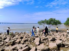 -宝安西湾红树林湿地公园