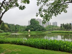 -映月湖公园