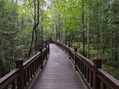 -汤旺河林海奇石景区