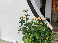 -听风阁农家私房菜茶楼(龙坞店)