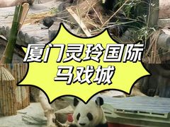 -灵玲国际马戏城