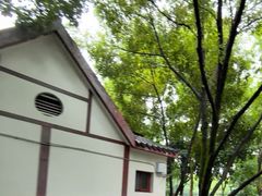 -重庆彩云湖湿地公园
