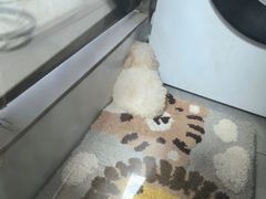-博特宠物医院24h犬猫全科.骨科·异宠