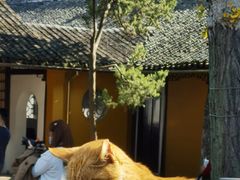 -西园戒幢律寺