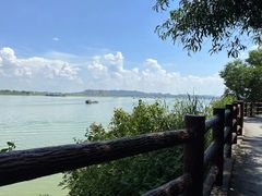 -大湾区中央湿地公园