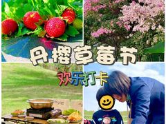 -丹樱生态园