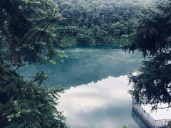 -醉美东江·三文鱼
