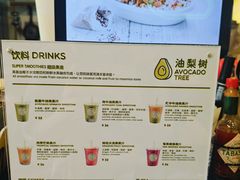 -油梨树AVOCADO TREE(望京店)