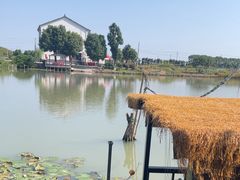 -水岸居湖景农家乐·阳澄湖大闸蟹