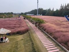 -嘉北郊野公园