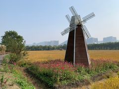 -长兴太湖图影湿地文化园