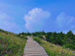 -白草畔自然风景区