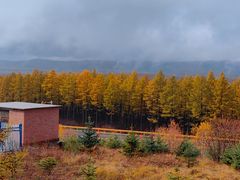 -塞罕坝国家级自然保护区