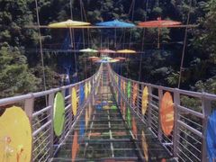 -九龙江国家森林公园