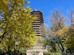 -玲珑塔公园