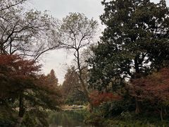 -茅家埠