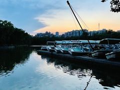 -朝阳公园游乐园