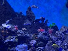 -横店影视城梦幻谷园区