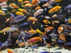 -太平洋海底世界