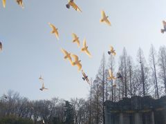 -音乐台