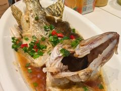 -同福小馆(北摆宴街店)