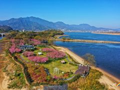 -福建鲤鱼洲酒店