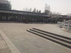 -祥源·阜阳生态乐园