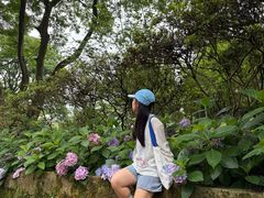-南山植物园