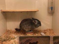 -龙猫仔乐园(惠福东路店)