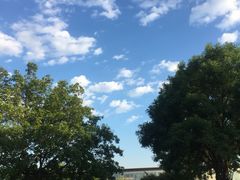 -北京国家会计学院