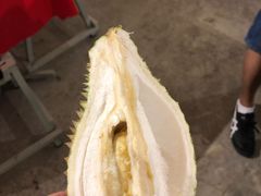 -都念榴莲·城市榴莲