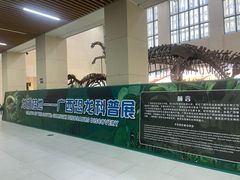 -广西壮族自治区博物馆