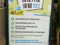 -绿壁虎攀岩基地(Tcar店)