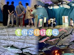 -烟台海昌鲸鲨海洋公园