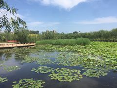 -绿堤公园