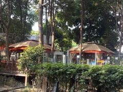 -二荆条·蜀鲜汇城市森林火锅