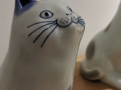 -猫里有甜