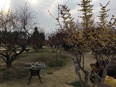 -秀丽东方