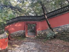 -阳台山自然风景区